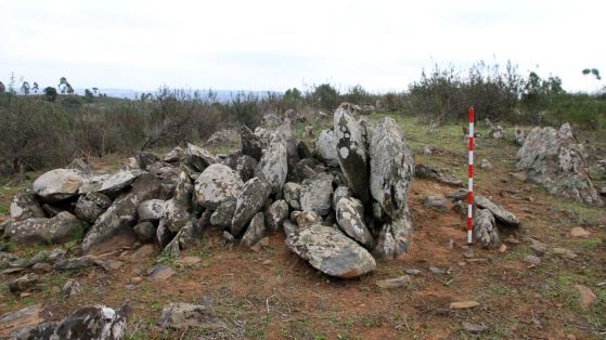 Голяма колекция от 526-те стоящи камъка, открити на обекта Ла Торе-Ла Ханера, близо до Уелва в Югозападна Испания.