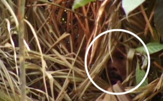 В бразилската джунгла умря най-самотният човек на земята (видео)