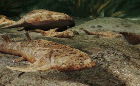 Фосили на древни риби показват особеностите на гръбначните ни предци