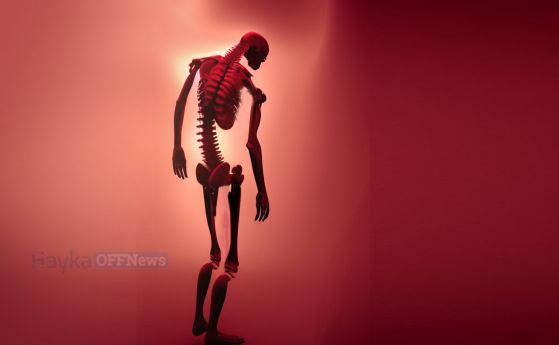 Високото кръвно налягане може да ускори стареенето на костите