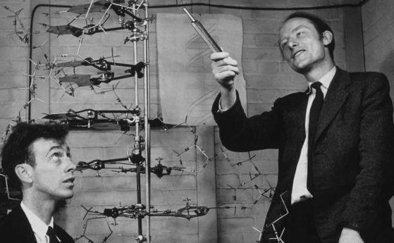 Физикът Франсис Крик, заедно с биолога Джеймс Уотсън получават Нобелова награда за физиология или медицина от 1962 г. за изясняване на структурата на ДНК. Кредит: A Barrington Brown / SPL