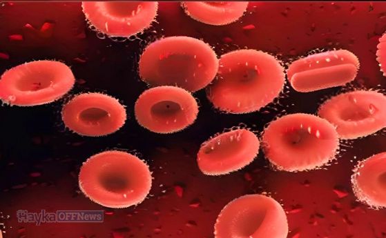 30-годишна загадка: Редки антигени разкриват изцяло нова кръвна група