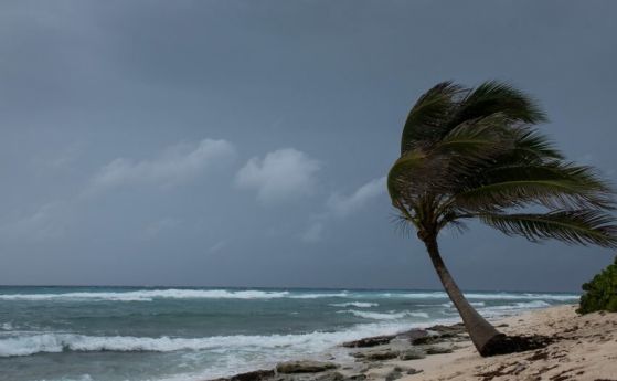 Как климатичните промени влияят на ураганите?