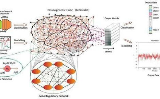 Водещ световен учен с лекция за невроинформатика, невронни мрежи и неврокомпютри на 18 октомви в БАН