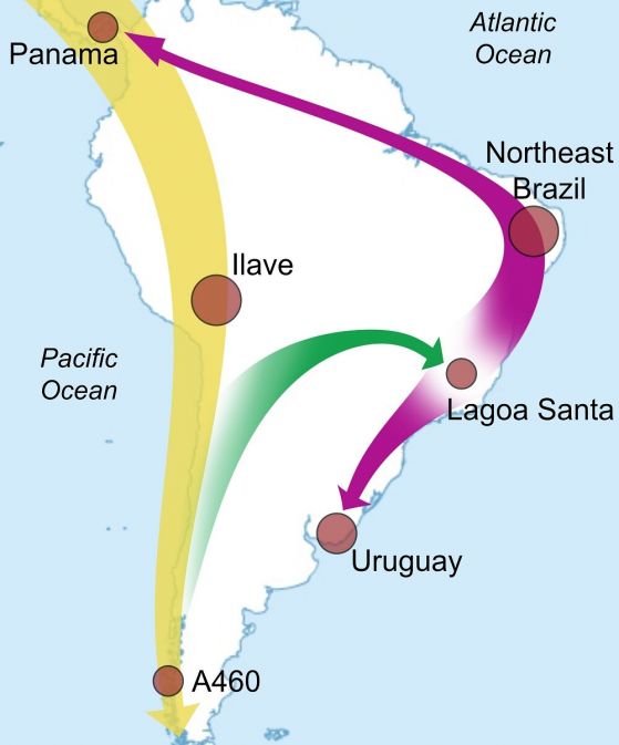 Древни модели на миграция в Южна Америка