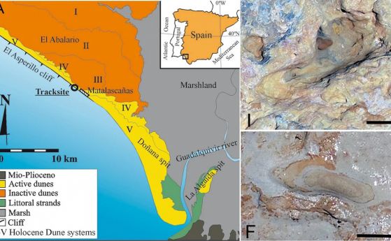 Отпечатъци от стъпки на 296 000 години от древни хора са открити в Испания