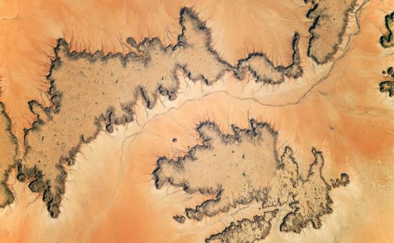 Красотата на ерозията на пустинята Сахара се разкрива в поразителна снимка от космоса