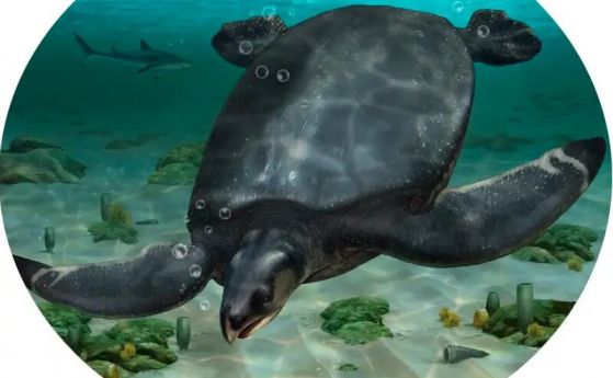 Гигантска костенурка от епохата на динозаврите е била дълга почти 4 метра
