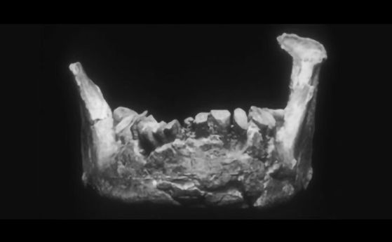 Това може да е най-старият фрагмент от Хомо сапиенс в Европа или нещо дори по-странно (видео)