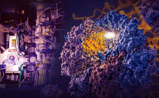 Изследвания поставят под въпрос 70-годишна теория за сгъването на протеините (видео)