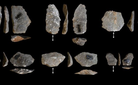 Изненадващи прилики в каменните инструменти на ранните хора и маймуните
