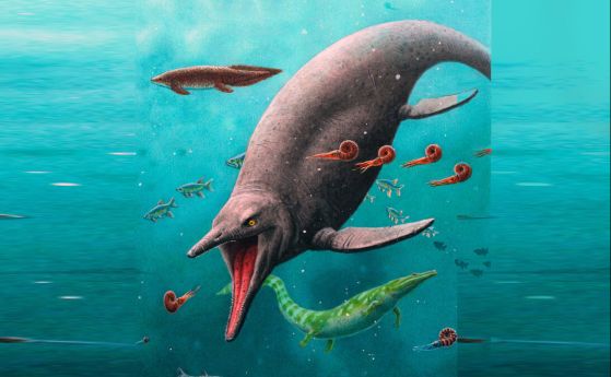 Най-старото морско влечуго от епохата на динозаврите е открито на арктически остров