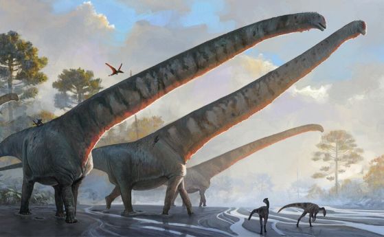динозавър с рекорден 15-метров врат