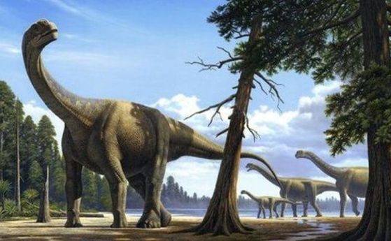 Революционно проучване разкрива как свръхмасивните динозаври са станали толкова големи
