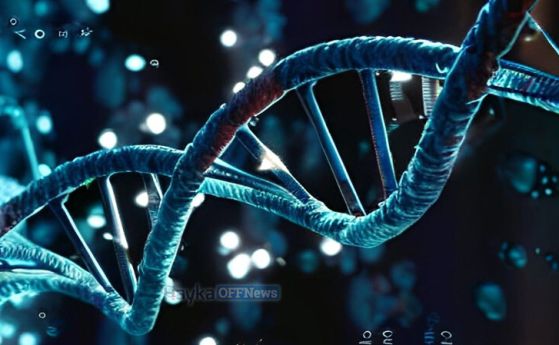 Вредни части от ДНК са се запазили в човека въпреки милиони години еволюция