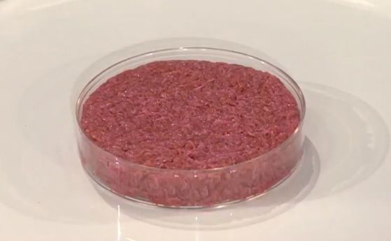 Първото месо за хамбургер от култивирани клетки.