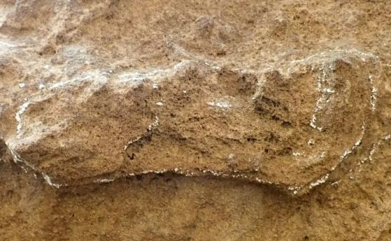 Отпечатъкът на 153 000 години, леко очертан с тебешир, в Националния парк Garden Route, Южна Африка; изглежда дълъг и тесен, защото човекът е влачил петата им.