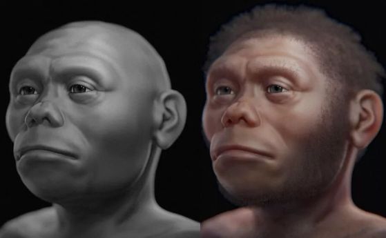 Ново лицево приближение предлага представа за един от изчезналите роднини на човечеството, Homo floresiensis.