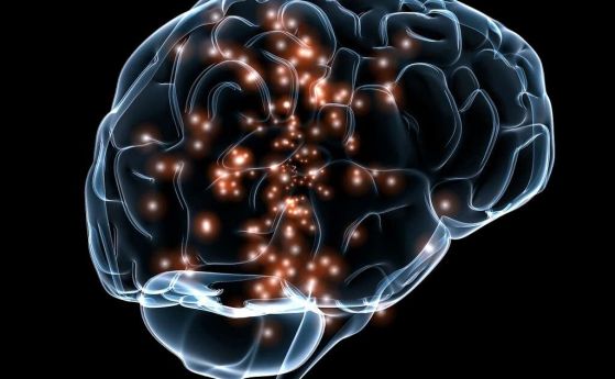 Сканирането на мозъка с ядрено-магнитен резонанс, извършено по време на анестезия, подкрепя теорията за интегрираната информация за съзнанието