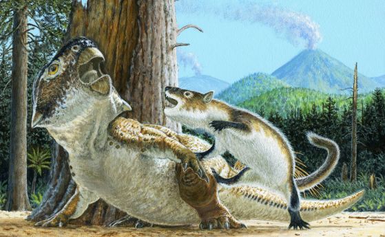 Епична вкаменена битка доказва, че понякога бозайниците са хищниците, а динозаврите - жертвата. Но вулкан е прекъснал обяда