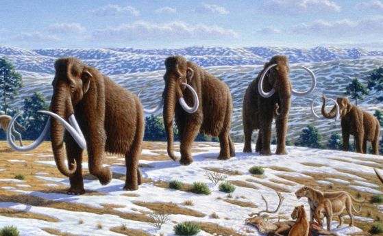 Неочаквано замръзване преди 1,1 милиона години е унищожил архаичния човешки вид Homo erectus в Европа.