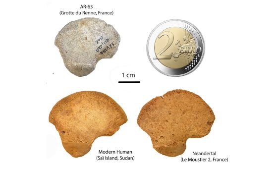 Фосил на 40 000 години от Франция не е съвсем на съвременен човек и не е съвсем на неандерталец
