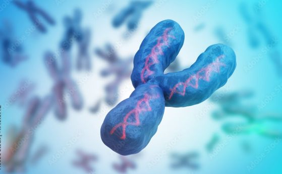 Мъжката Y хромозома най-сетне е напълно секвенирана, 20 години след първата чернова