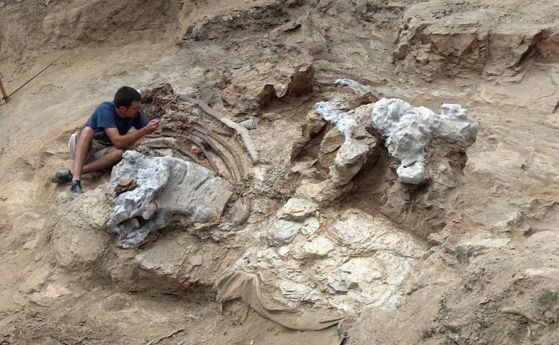 Открит е нов гигантски динозавър с бедрена кост 2 метра
