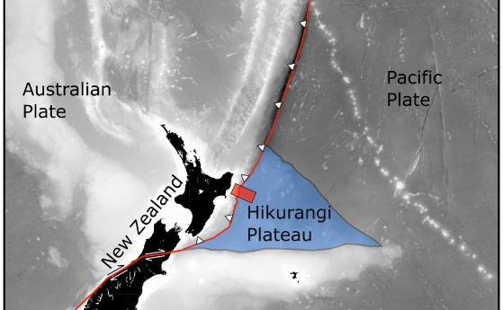 Платото Хикуранги е остатък от поредица мощни вулканични изригвания, започнали преди 125 милиона години в Тихия океан. Неотдавнашно сеизмично изследване (червен правоъгълник), ръководено от Института по геофизика на Тексаския университет, заснема платото,