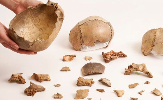 Човешките останки от пещерата Гоф в Западна Англия са датирани отпреди около 15 000 години. Много от останките показват ясни признаци на канибализъм.