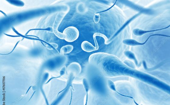 Човешките сперматозоиди са нарушители на закона...за движението на Нютон