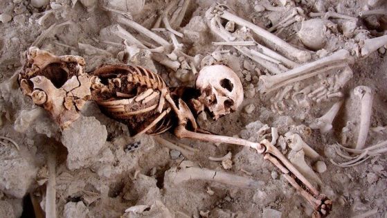 Скелетът на жена от медната епоха, както се вижда на мястото на погребението.