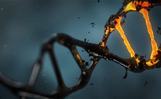 Древен генетичен нашественик обитава нашата ДНК и прави пакости