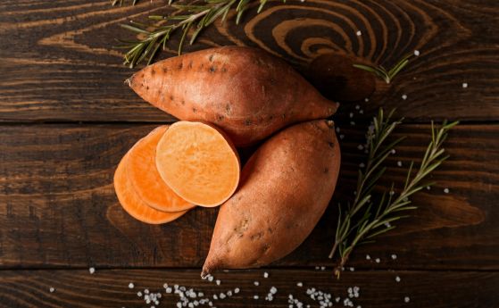 Сладкият картоф – една алтернативна култура на фона на променящия се климат