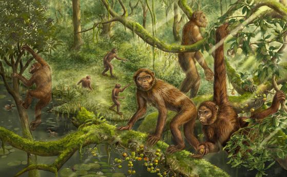 Художествена реконструкция на локомоторното поведение и палеооколната среда на Lufengpithecus. Този изчезнал примат е живял в Източна Азия през миоцена.