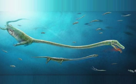 Палеонтолози откриват "китайски дракон" на възраст 240 милиона години