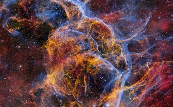 Остатъкът от свръхнова Вела, който се намира на около 800 светлинни години от нас, се формира от разпръснатите вътрешности на масивна звезда, избухнала преди единадесет хилядолетия.