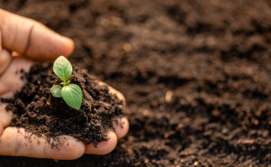 Калцият в почвата – ново средство за борба с климатичните промени