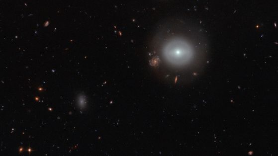 Тази сцена, заснета от усъвършенстваната камера за наблюдение (ACS - Advanced Camera for Surveys) на космическия телескоп Хъбъл на НАСА/ЕСА, показва PGC 83677, лещовидна галактика - тип галактика, която се намира между по-познатите елиптични и спирални галактики.