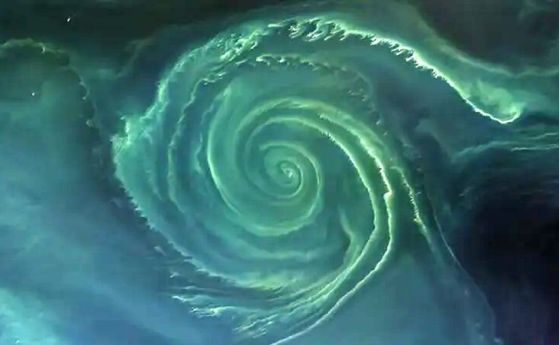 Земята от космоса: Спирала от водорасли цъфти в сърцето на огромна балтийска "мъртва зона"