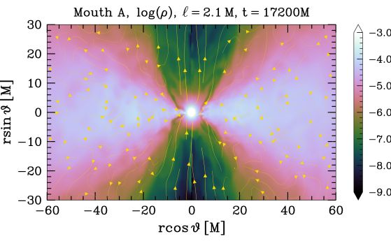 Графика на плътността на масата на покой в ​​устието на червеева дупка с линиите на магнитното поле