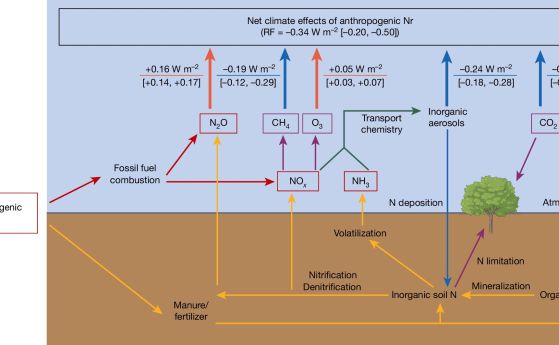  Пътища на въздействие на антропогенния азот върху глобалния климат.