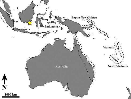 Карта на Австралия и Югоизточна Азия с жълта звезда на Borneo