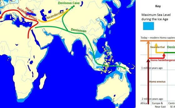 Схема, показваща миграционните модели и еволюционната история на денисовци