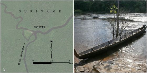 а) Регион на река Уаямбо. (b) Кану по река Копенаме, приток на река Уаямбо (Jan Willem Broekema, CC BY-SA 2.0).