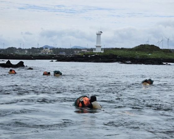 Жени в неопренови костюми плуват на повърхността на студената сива морска вода