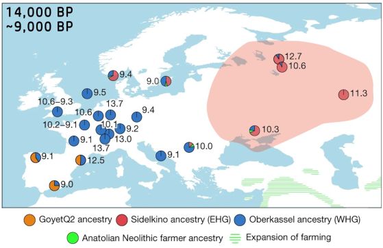 Генетичният произход на източноевропейските ловци-събирачи (EHG) датира между преди 14 000 и 9 000 години. Кредит:
