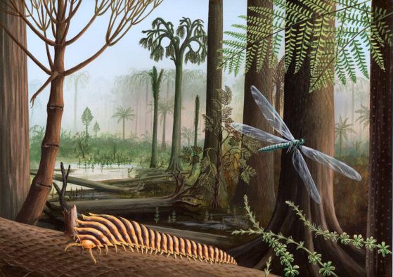 Илюстрация на гора от периода карбон (преди 359 до 299 милиона години), с Arthropleura myriapod и водно конче Meganeura. Кредит: Richard Bizley / SPL