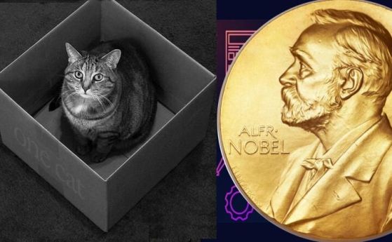 Котка в кутия и Нобелов медал