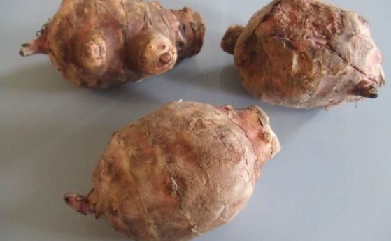 Земни ябълки